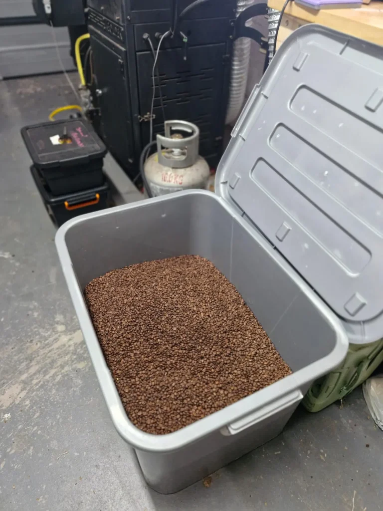 Grey storage bin filled with roasted coffee beans in the roastery, gas cylinder and roasting equipment in the background