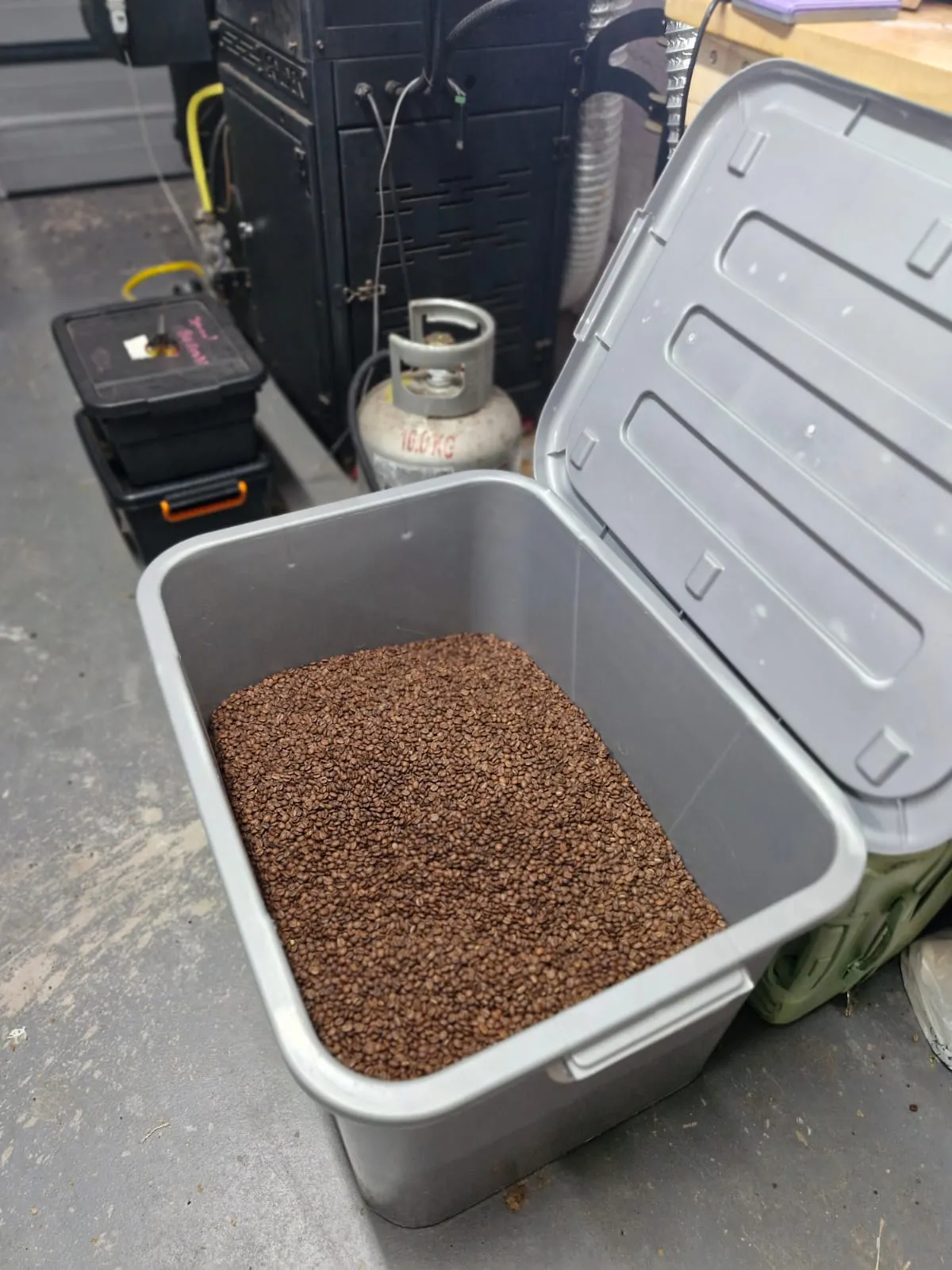 A storage bin filled with roasted coffee beans in the Apothecary Coffee Co roastery, gas cylinder and roasting equipment visible behind