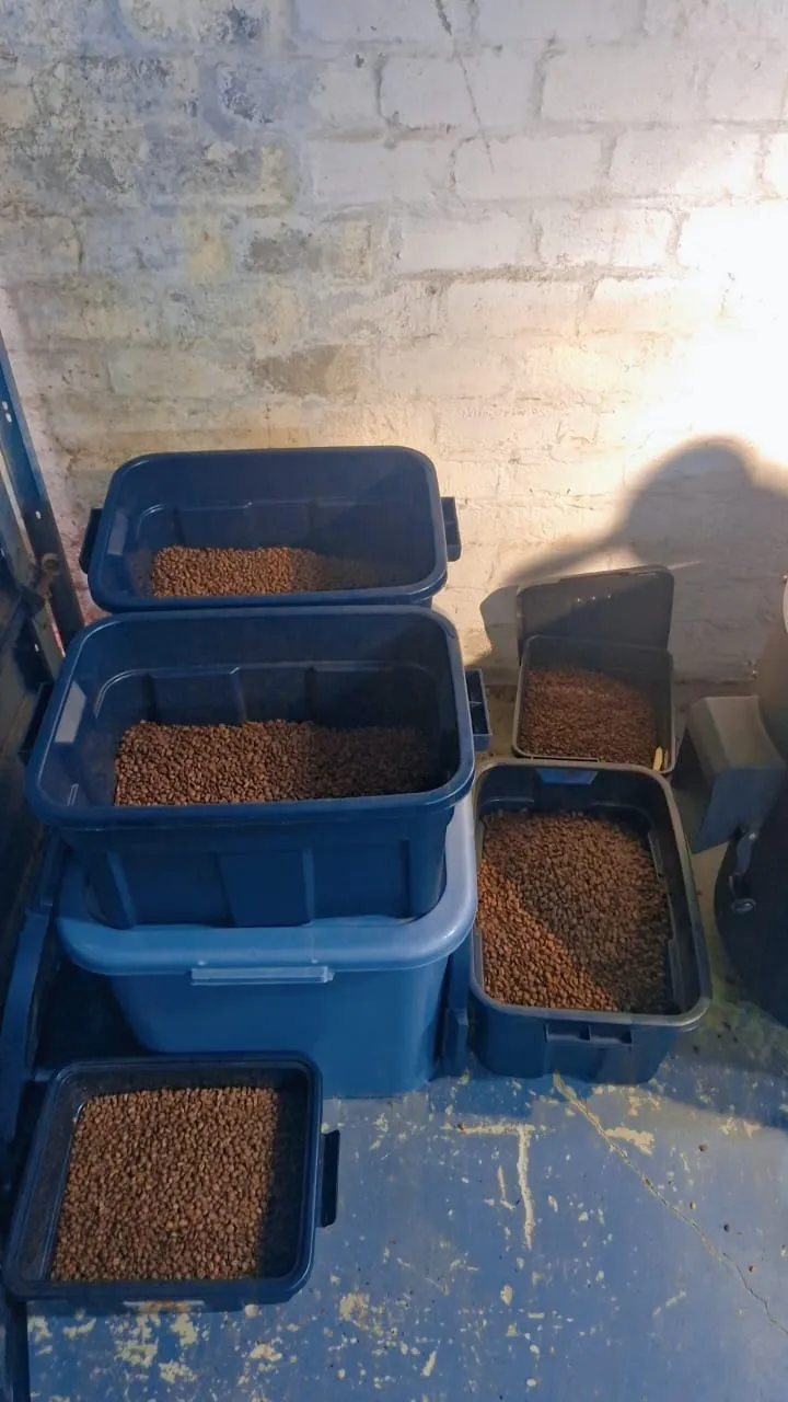Five stacked plastic storage bins filled with roasted coffee beans against a whitewashed brick wall in the Apothecary Coffee Co roastery