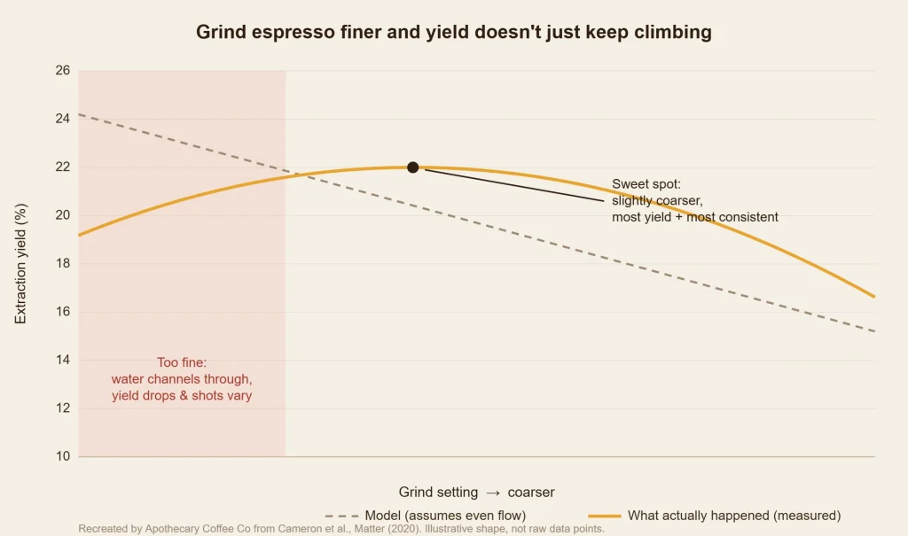 Line chart: a model assuming even flow predicts espresso extraction yield falling steadily as the grind gets coarser, but the measured curve peaks at a slightly coarser setting and drops at very fine settings, where water channels through the puck. Recreated from Cameron et al., Matter (2020).